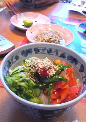 さっぱり冷やしうどん-レシピのメイン写真