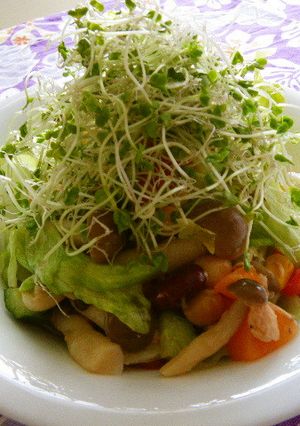 生温野菜＆ビーンズサラダ-レシピのメイン写真