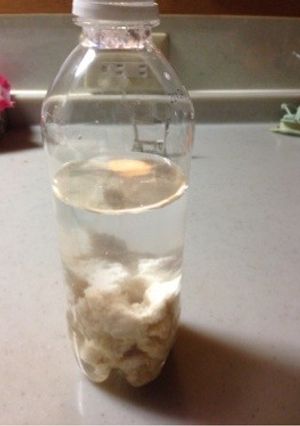 酒かす酵母(酵母液)-レシピのメイン写真