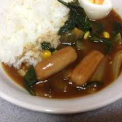 ほうれん草カレー-レシピのメイン写真