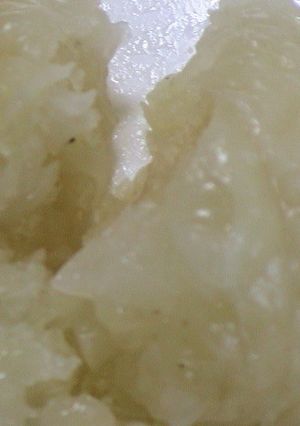 健康法師の　玉ねぎだけの肉無しシューマイ-レシピのメイン写真