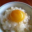 「雲海」こだわり派の美味しい卵かけご飯