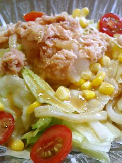 暑い日に・ツナみぞれサラダうどん-レシピのメイン写真