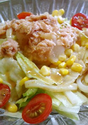 暑い日に・ツナみぞれサラダうどん-レシピのメイン写真