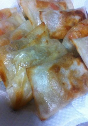 余った煮物のリメイク春巻き-レシピのメイン写真