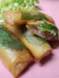 味付け不要☆簡単スパム春巻き-レシピのメイン写真