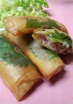 味付け不要☆簡単スパム春巻き-レシピのメイン写真