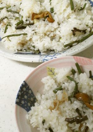 もち米大好き　上品？色白山菜おこわ-レシピのメイン写真