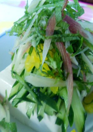 夏はさっぱりと！シャキシャキ冷奴-レシピのメイン写真
