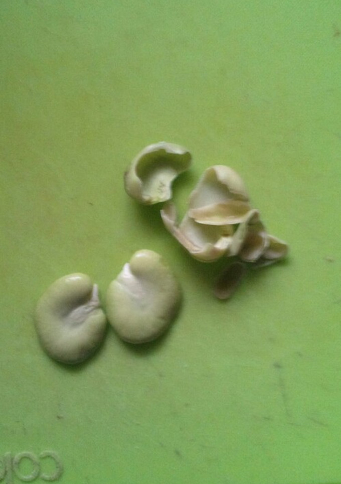 空豆を薄皮から取り出す方法-レシピのメイン写真