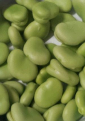 豆をゆでるだけ～(*_*)-レシピのメイン写真