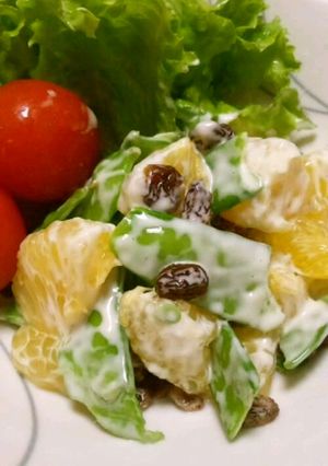 適当でも美味しい!?キヌサヤ&甘夏サラダ-レシピのメイン写真