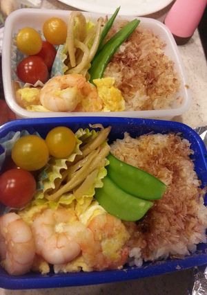 エビ玉弁当-レシピのメイン写真