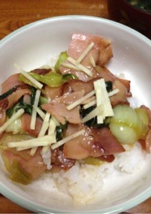 甘辛焼豚丼♪-レシピのメイン写真