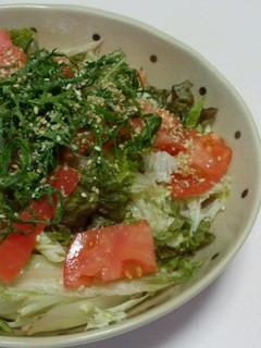 サラダラーメン-レシピのメイン写真