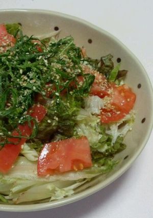 サラダラーメン-レシピのメイン写真