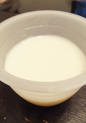 子供も喜ぶゼラチンで作る簡単牛乳プリン-レシピのメイン写真