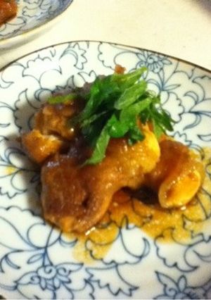 豆腐の豚肉巻き照り焼き-レシピのメイン写真
