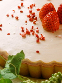 ストロベリーヨーグルトチーズケーキ♡-レシピのメイン写真