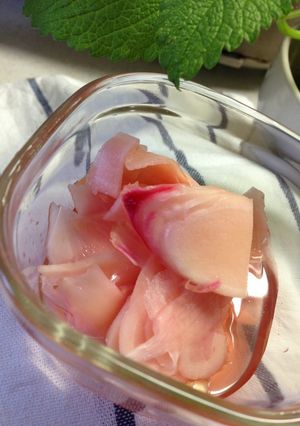 新しょうがの甘酢漬-レシピのメイン写真