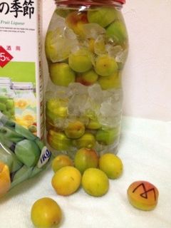 梅酒(お酒)-レシピのメイン写真