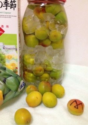 梅酒(お酒)-レシピのメイン写真