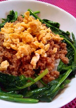 ちょっと豪華に見える三色ご飯の盛り付け♪-レシピのメイン写真