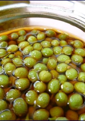 山椒の醤油漬け-レシピのメイン写真