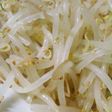もやしだけ!適当ナムル