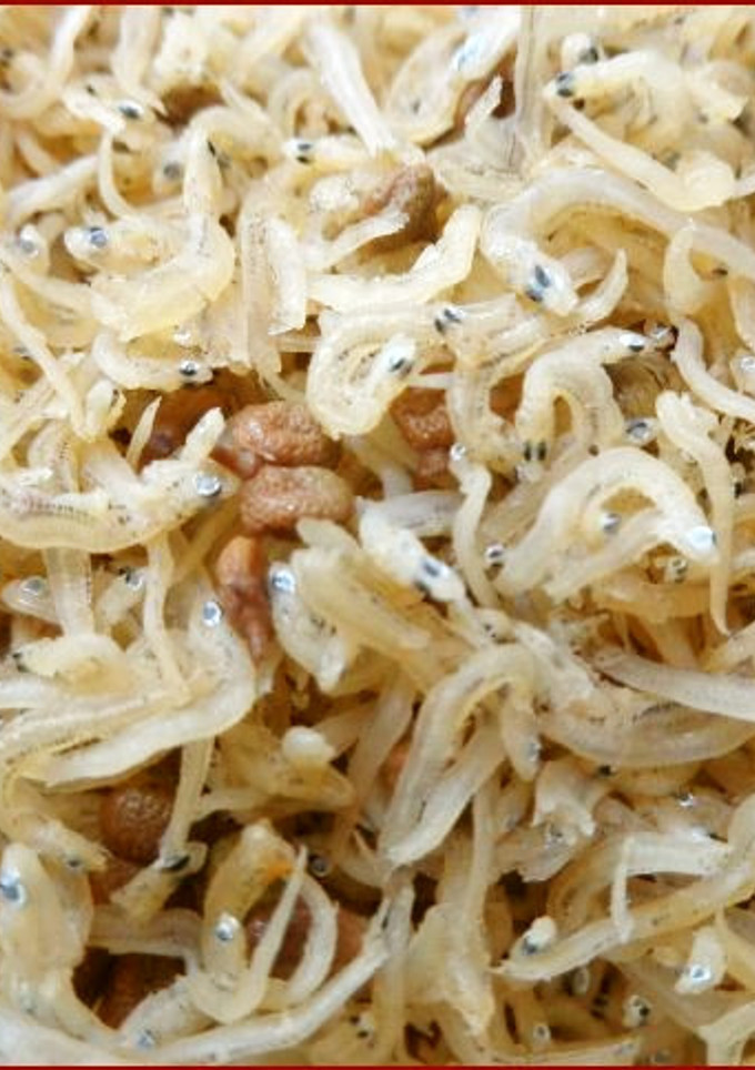 ちりめん山椒☆醤油漬け山椒を使って-レシピのメイン写真