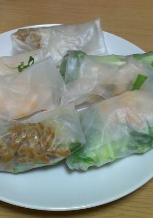 家にあるもので簡単!適当娘の生春巻き-レシピのメイン写真