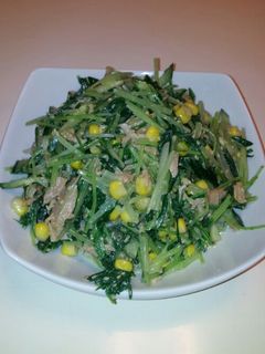 水菜のゴマサラダ-レシピのメイン写真