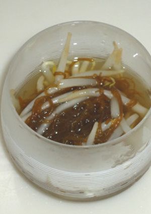 もやしともずくの酢の物-レシピのメイン写真