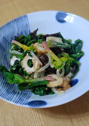 ほうれん草ともやしの海苔和え-レシピのメイン写真