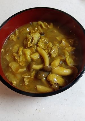 簡単和風カレーうどん-レシピのメイン写真