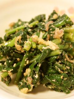 ほうれん草とみょうがの胡麻和え-レシピのメイン写真