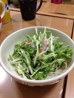 水菜イロイロサラダ-レシピのメイン写真