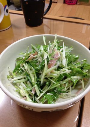 水菜イロイロサラダ-レシピのメイン写真