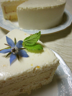 ♪お誕生日のヨーグルトムースケーキ♪-レシピのメイン写真