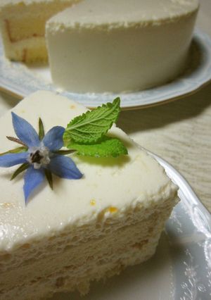 ♪お誕生日のヨーグルトムースケーキ♪-レシピのメイン写真