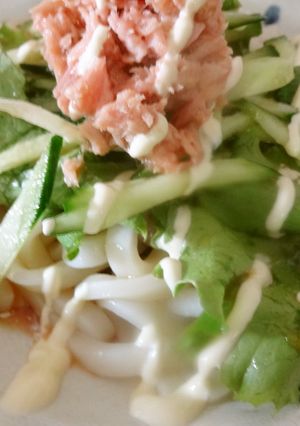 ちー特製♡簡単サラダうどん〜♪-レシピのメイン写真