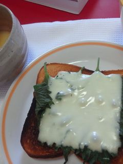 大葉チーズトースト-レシピのメイン写真