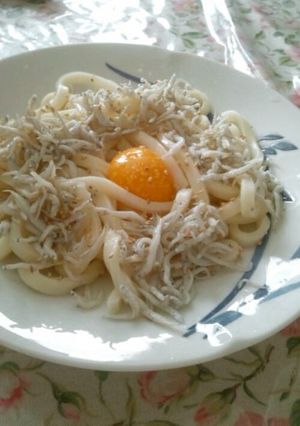 冷やししらすうどん-レシピのメイン写真
