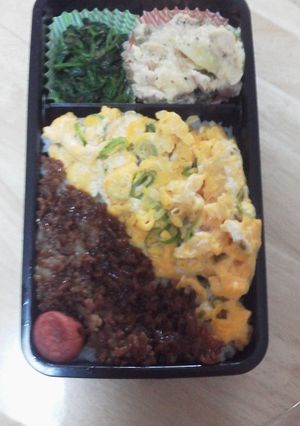 そぼろ2色弁当-レシピのメイン写真