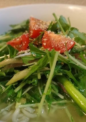 香味野菜たっぷり塩ラーメン-レシピのメイン写真