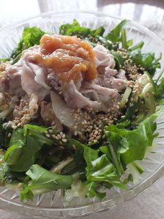 簡単サッパリうどん豚しゃぶサラダ梅風味-レシピのメイン写真