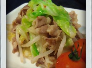 ■糖質制限■豚キャベツもやし簡単麻婆炒め-レシピのメイン写真
