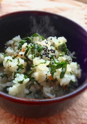 ごま油風味の梅じそごはん☆-レシピのメイン写真