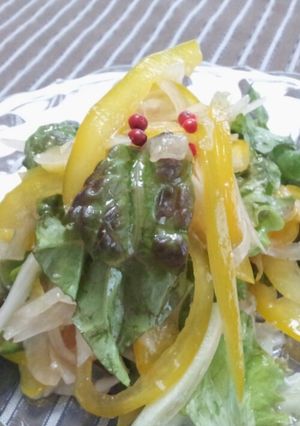 醤油麹で和えたｻﾆｰﾚﾀｽのsalad-レシピのメイン写真