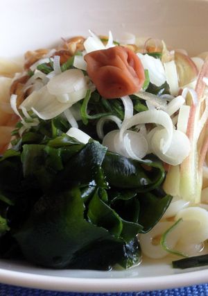薬味もりもり！梅おろし納豆よくばりうどん-レシピのメイン写真